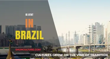 Exploring AT&T's Presence and Impact in Brazil's Telecom Market