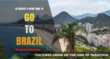 August in Brazil: Ideal Weather, Festivals, and Travel Tips