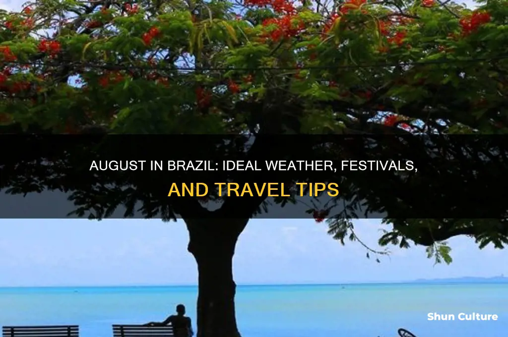 is august a good time to go to brazil