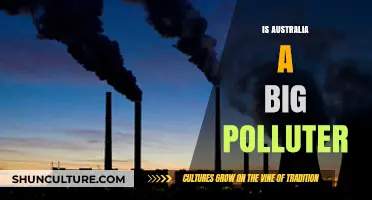 Australia's Pollution Problem: Global Impact, Local Issues