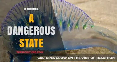 Exploring Australia's Dangerous Wildlife and Nature