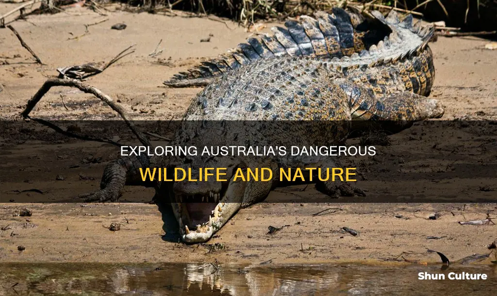 is australia a dangerous state