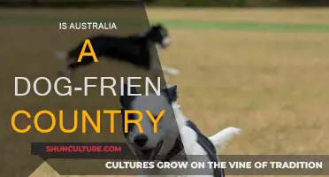 Exploring Australia: A Dog-Friendly Country?