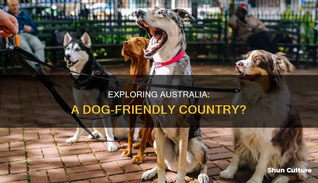 is australia a dog-friendly country
