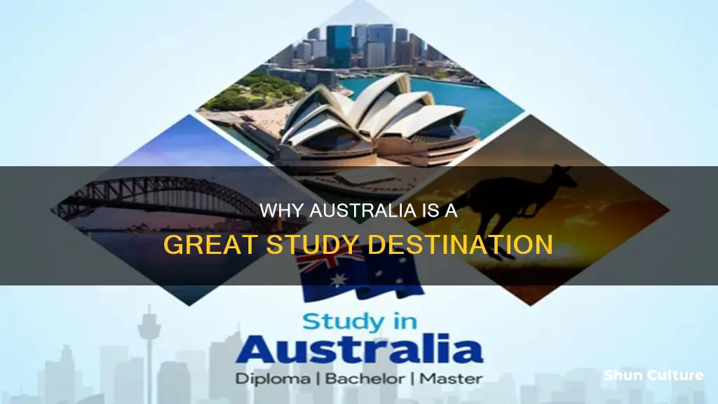 is australia a good place to study