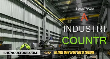 Australia's Industrialization: A Developed Country?
