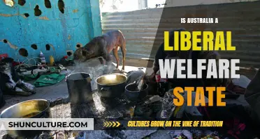 Liberal Welfare State: Australia's Political Identity