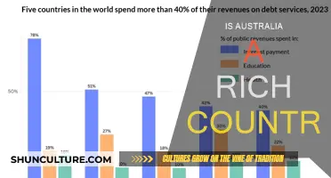 Exploring Australia's Wealth: A Rich Country?