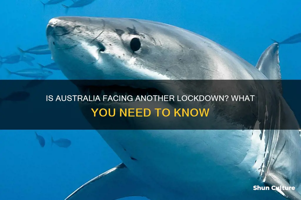is australia about to go into lockdown