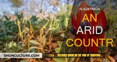 Australia's Arid Reality: Understanding the Climate