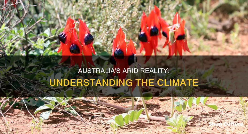 is australia an arid country