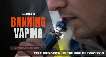 Australia's Vaping Future: Ban or Regulate?