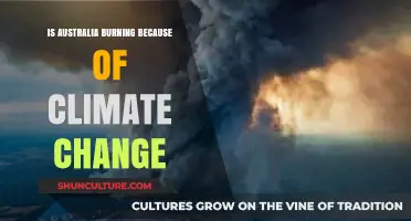 Climate Change: Australia's Burning Question