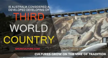 Australia's Place in the World: Developed or Developing?