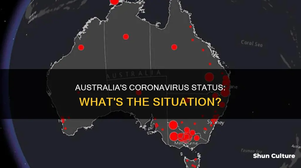 is australia coronavirus free