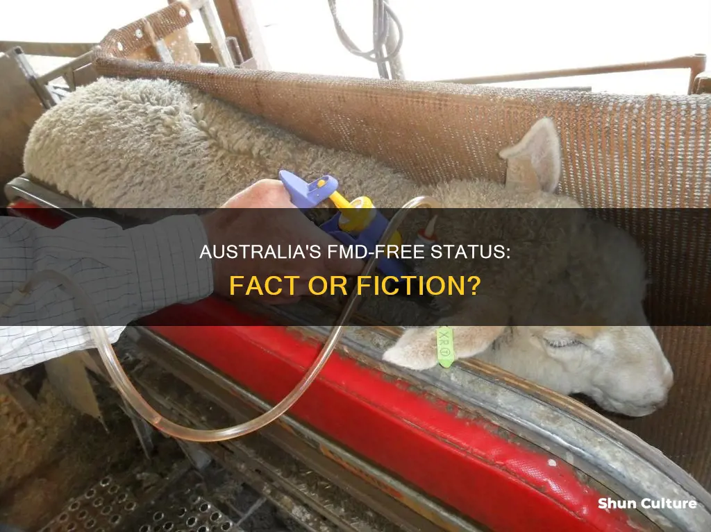 is australia fmd free