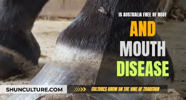 Australia's Freedom from Hoof and Mouth Disease