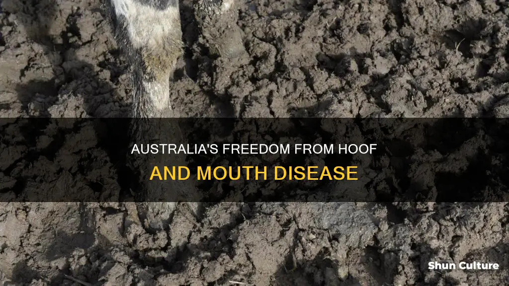 is australia free of hoof and mouth disease