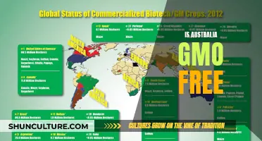 GMOs in Australia: Are They Banned?