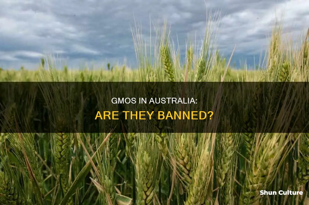 is australia gmo free