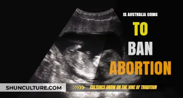 Australia's Abortion Debate: Potential Bans and Reproductive Rights at Stake