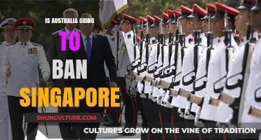 Australia-Singapore Relations: Debunking the Ban Rumors and Misconceptions