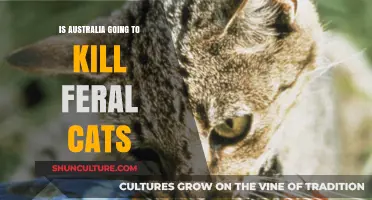 Australia's Feral Cat Crisis: Culling or Conservation Solutions?