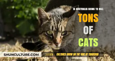 Australia's Cat Culling Plan: Necessary or Cruel Overkill?