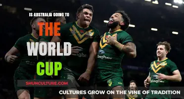 Australia's World Cup Journey: Will the Socceroos Qualify in 2022?
