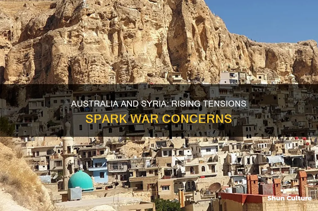 is australia going to war with syria