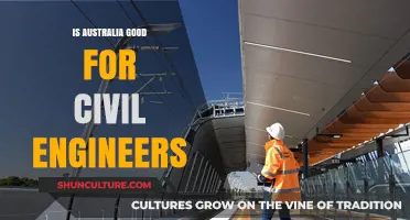 Civil Engineers: Australia's Opportunities and Challenges