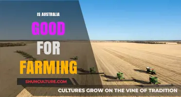 Australia's Agricultural Advantage: Is Farming Viable?