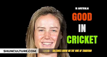 Australia's Cricket Prowess: A Global Perspective