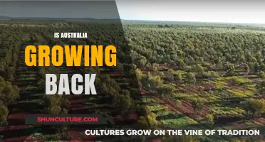 Australia's Green Future: Can We Regrow?