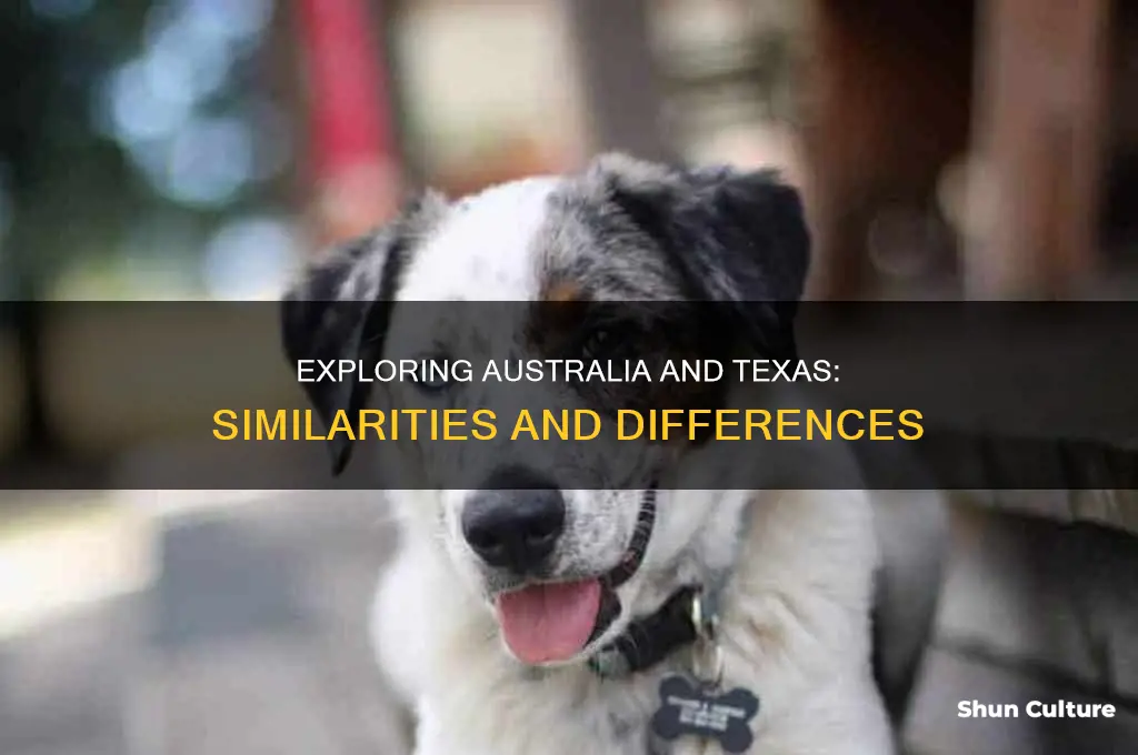is australia like texas