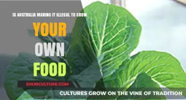 Australia's Food Freedom: Gardening Under Threat