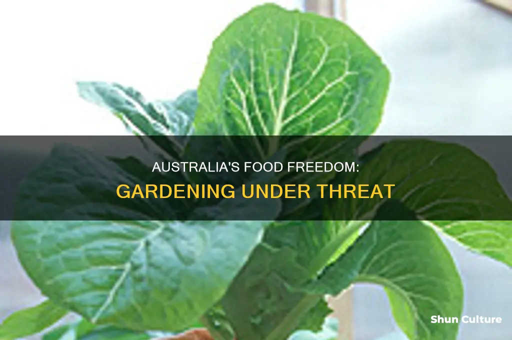is australia making it illegal to grow your own food