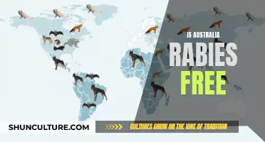 Rabies in Australia: A Threat or Not?