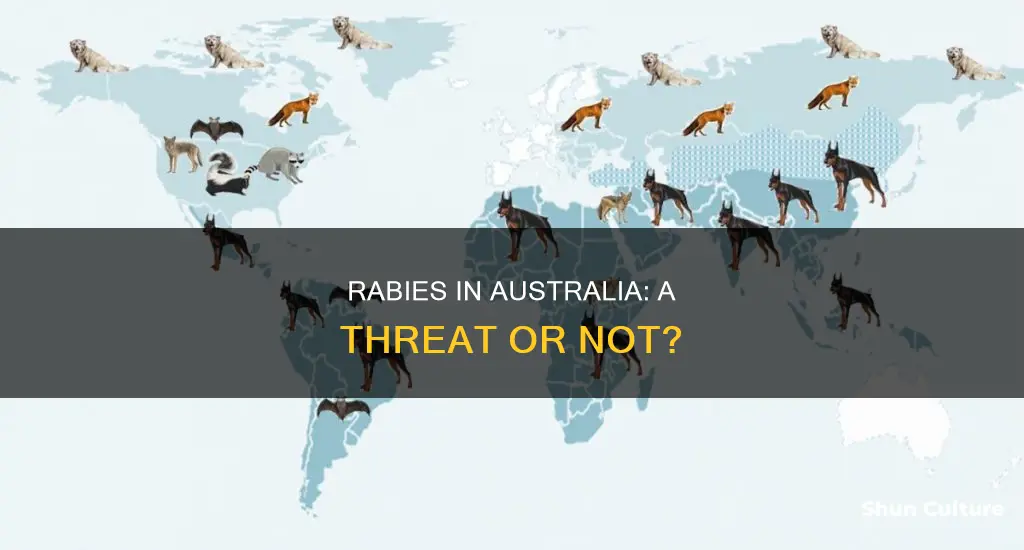 is australia rabies free