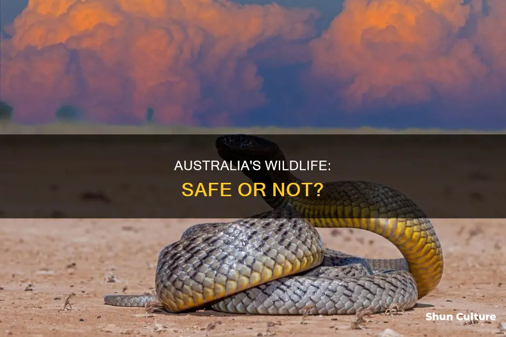 is australia safe animals