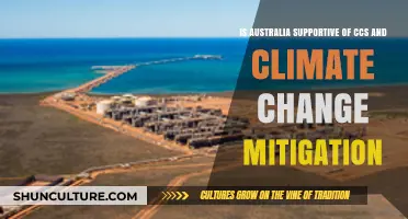 Australia's CCS Stance: A Climate Change Mitigation Ally?