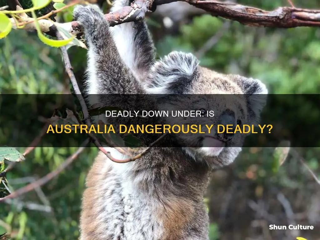 is australia the most dangerous country