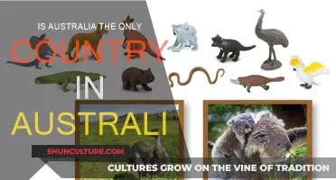 Australia: A Country Like No Other