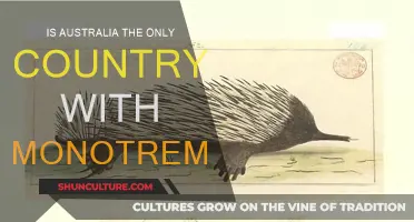 Monotremes: Unique to Australia or Not?