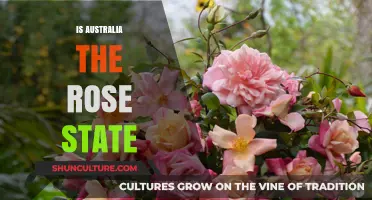 The Rose State: Australia's Blooming Beauty