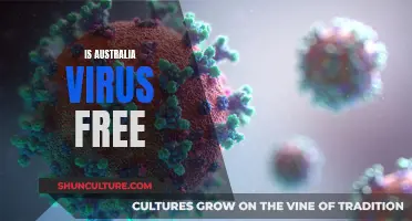 Australia's COVID-19 Response: Virus-Free?