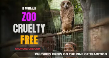 Australia Zoo: Ethical or Exploitative?