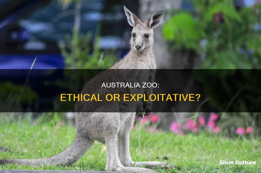 is australia zoo cruelty free