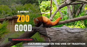 Australia Zoo: Worth the Hype?