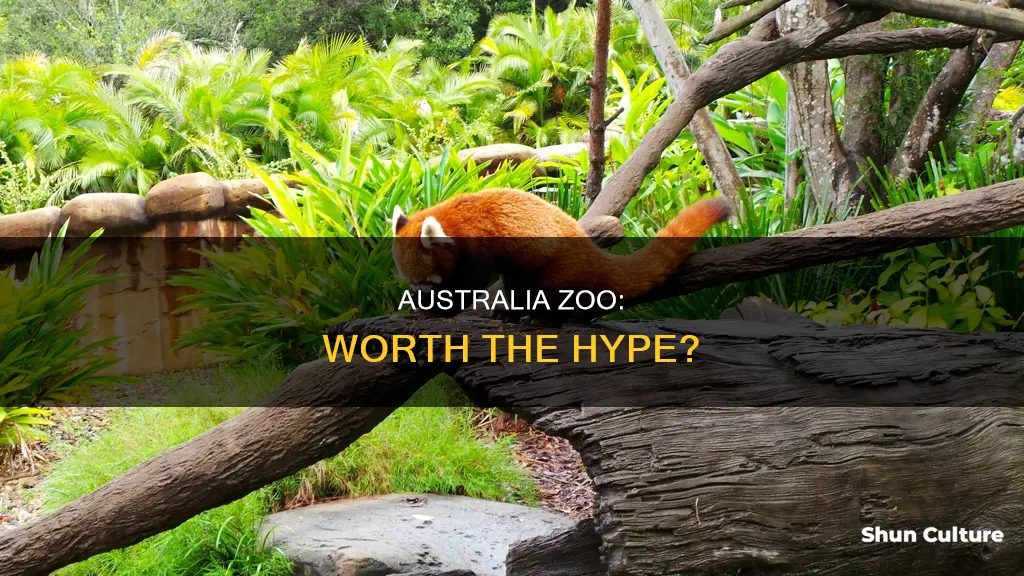 is australia zoo good